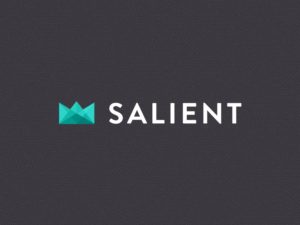 Salient Theme Logo